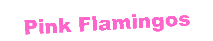 Text Box: Pink Flamingos