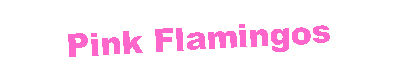 Text Box: Pink Flamingos